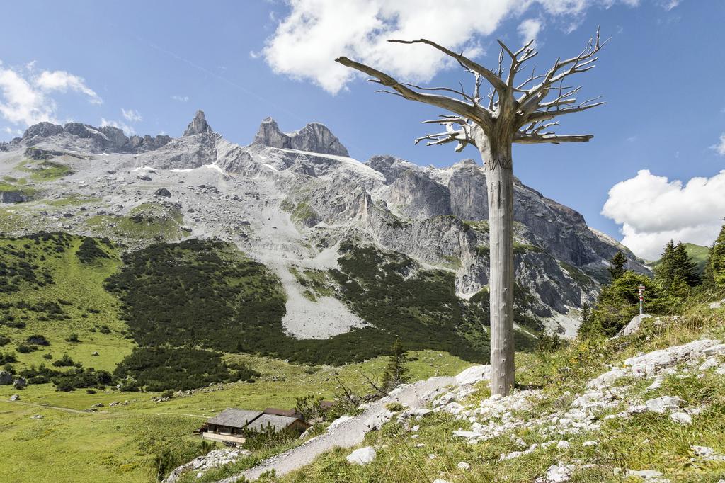 Berg-Spa & Hotel Zamangspitze سانكت غالنكرش المظهر الخارجي الصورة